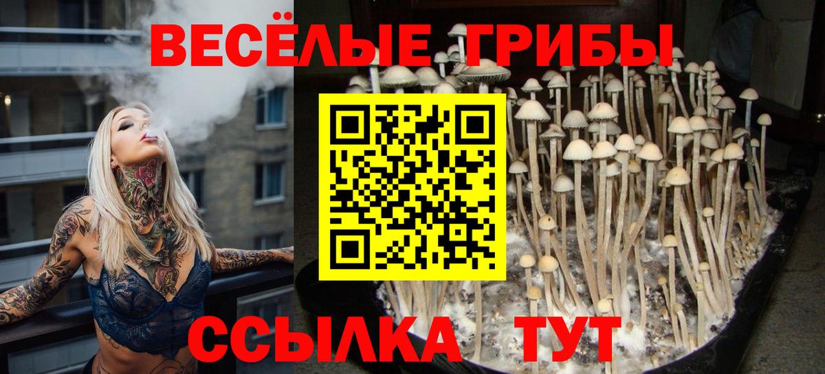 Галлюциногенные грибы мухоморы Будённовск